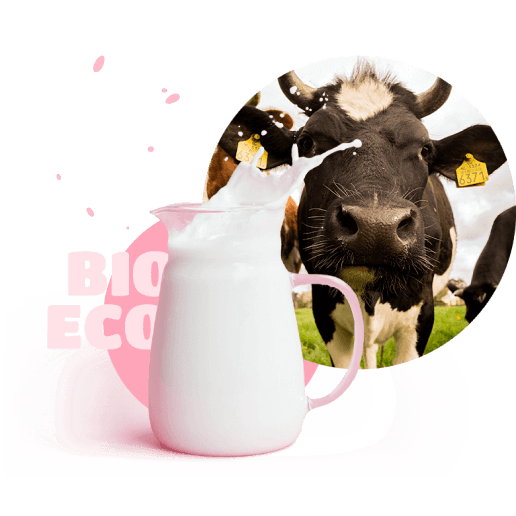 cow and milk